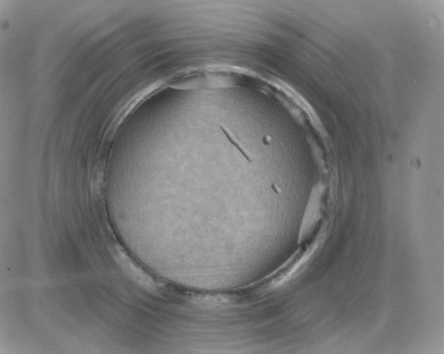 X0000083040801200702231928