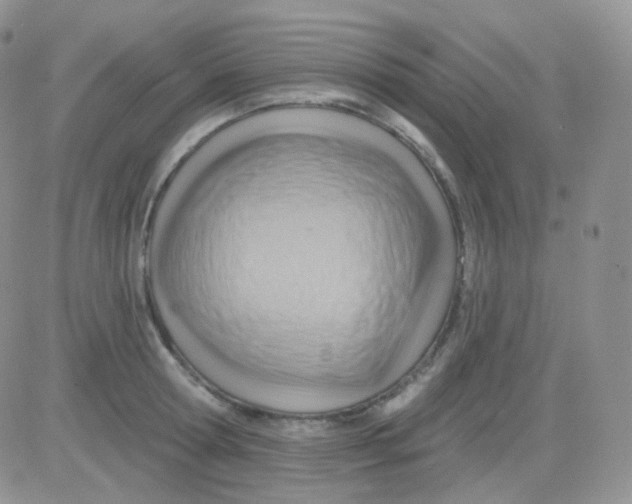 X0000083040802200702231928