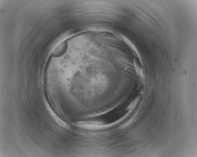 X0000083040803200702231928