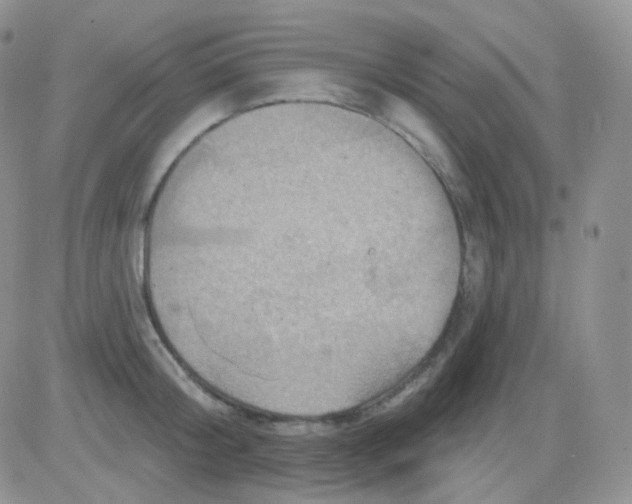 X0000083040804200702231928