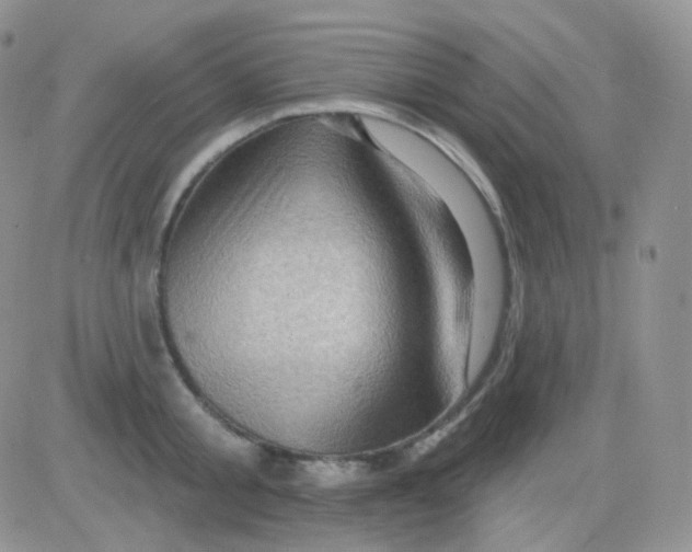 X0000083040805200702231928