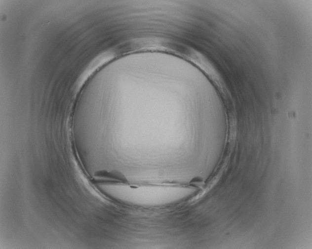 X0000083040806200702231928