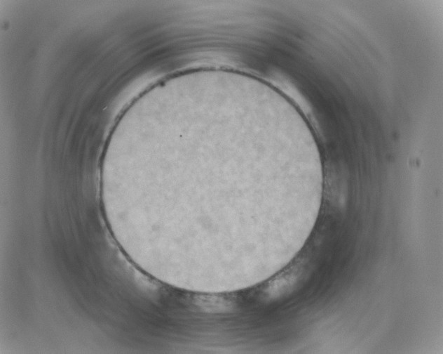 X0000083040807200702231928