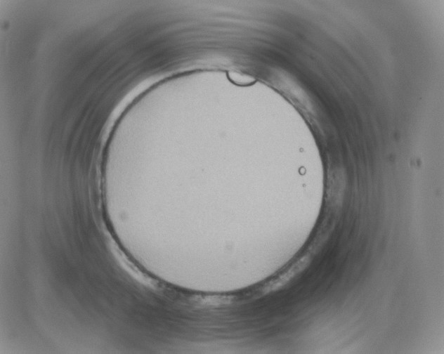 X0000083040808200702231928