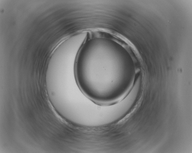 X0000083040809200702231928