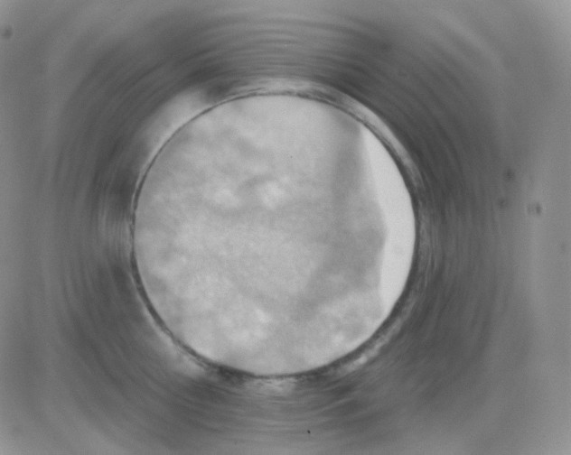 X0000083040810200702231928