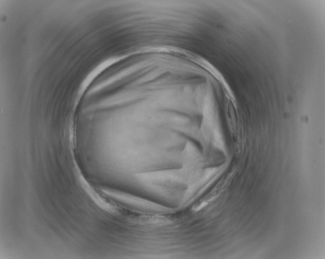 X0000083040811200702231928