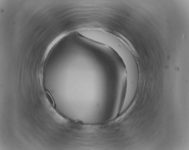 X0000083040812200702231928