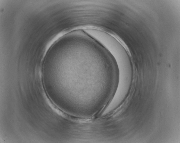 X0000083040813200702231928