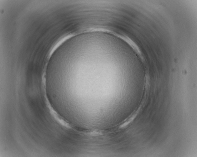 X0000083040814200702231928