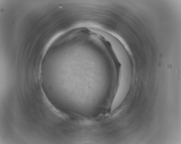 X0000083040815200702231928