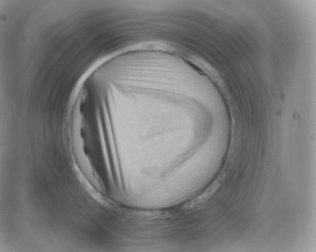 X0000083040816200702231928