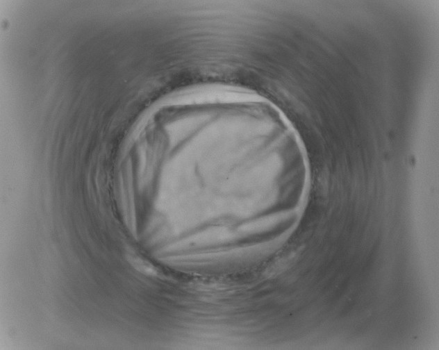 X0000083040817200702231927