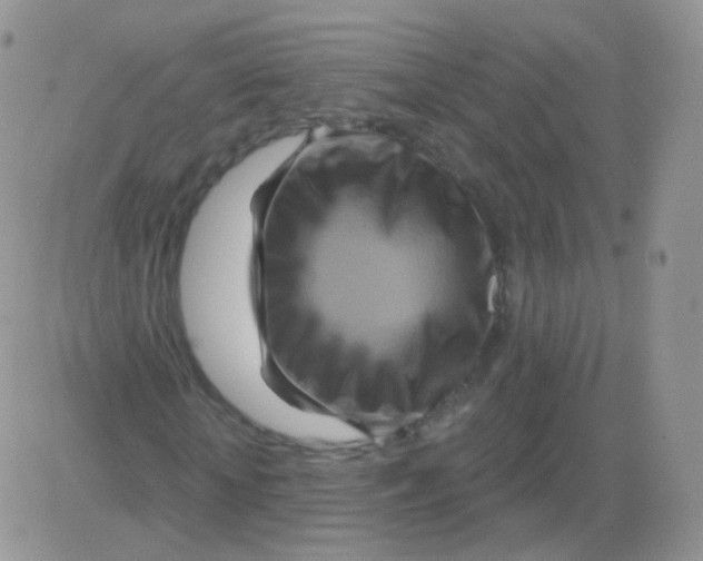 X0000083040818200702231927