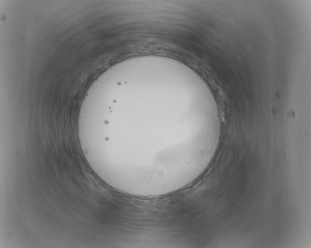 X0000083040820200702231927