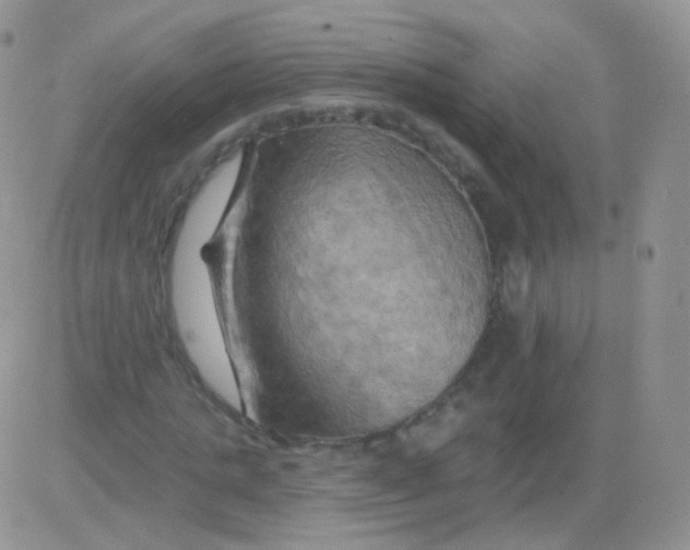 X0000083040821200702231927