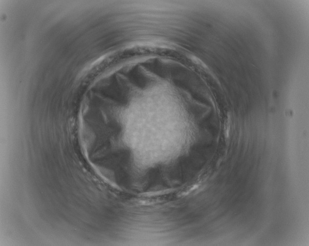 X0000083040822200702231927