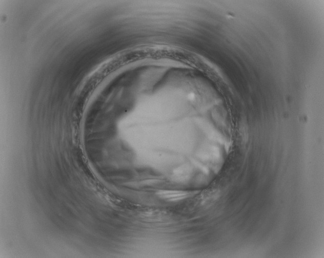 X0000083040823200702231927