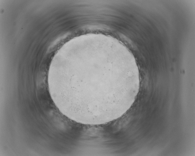 X0000083040824200702231927