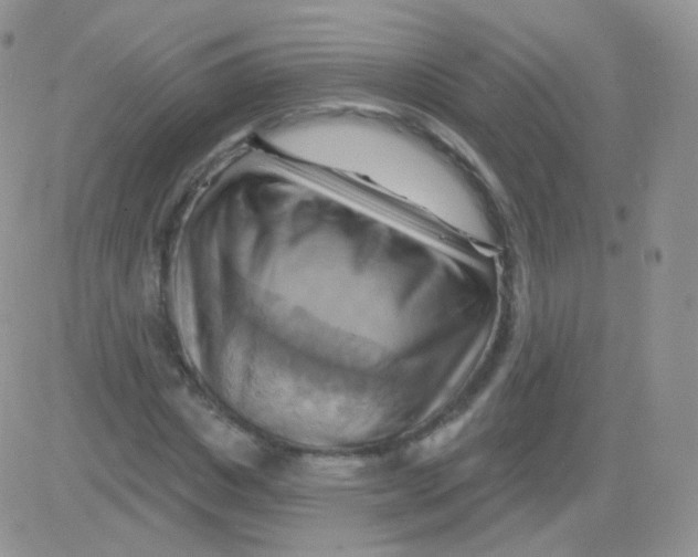 X0000083040825200702231927