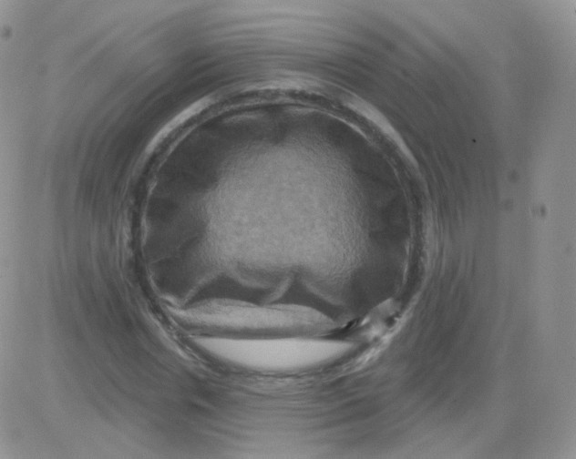 X0000083040826200702231927