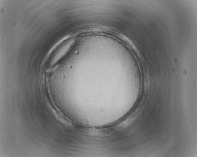 X0000083040827200702231927