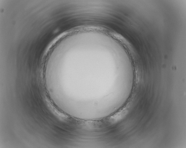 X0000083040828200702231927