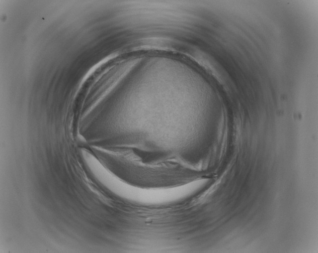 X0000083040830200702231927