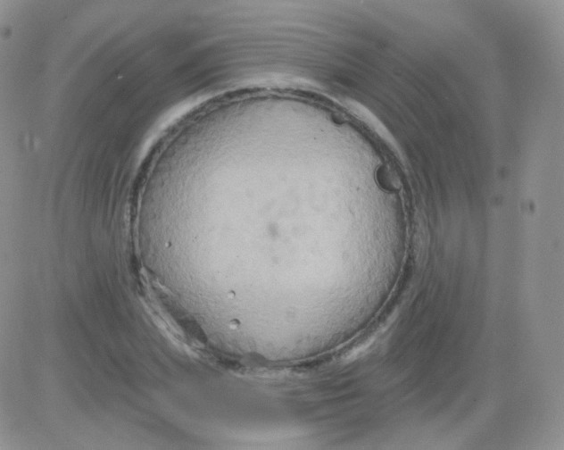 X0000083040831200702231927