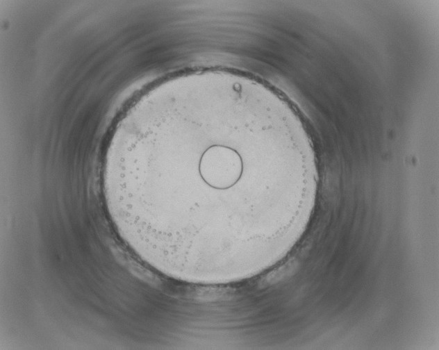 X0000083040832200702231927