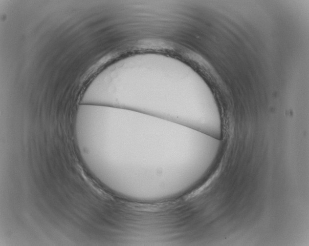 X0000083040833200702231927