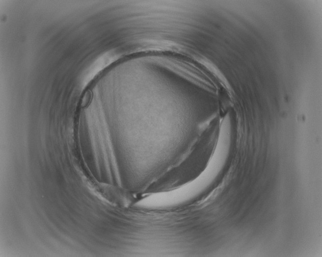 X0000083040834200702231927