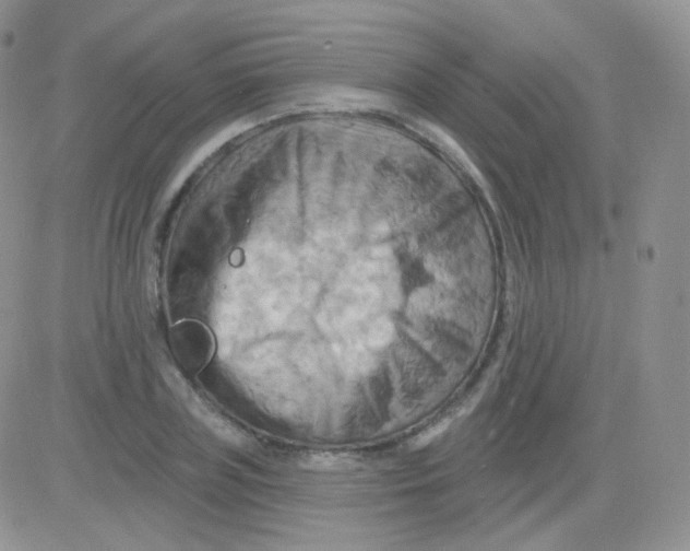 X0000083040835200702231927