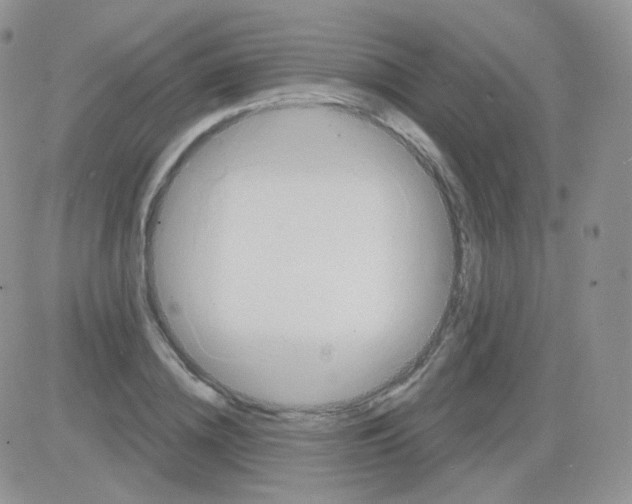 X0000083040836200702231927