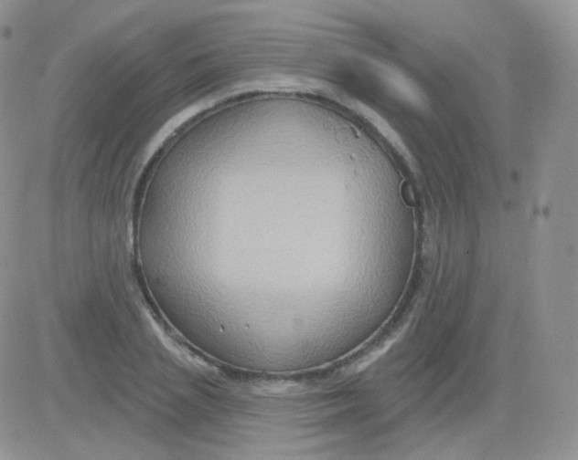 X0000083040837200702231927