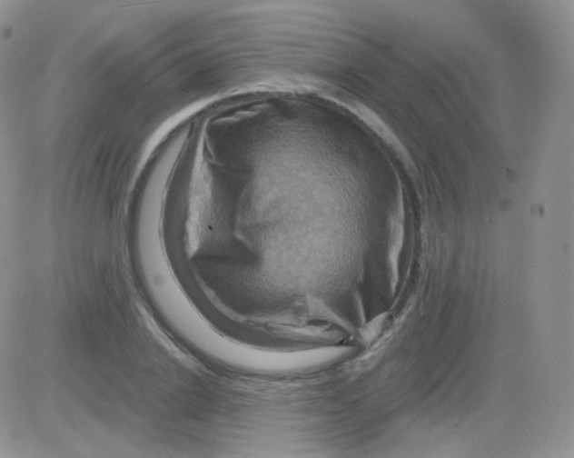 X0000083040838200702231927