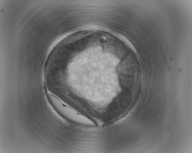 X0000083040839200702231927