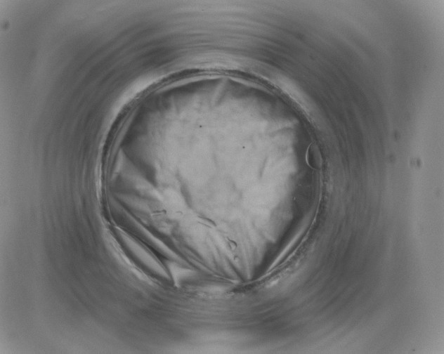 X0000083040840200702231927