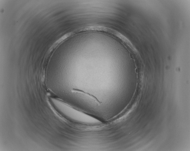 X0000083040841200702231927