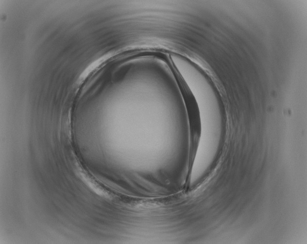 X0000083040842200702231928