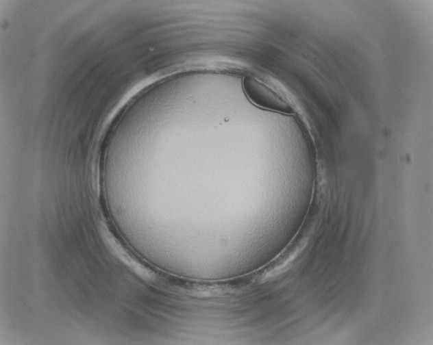 X0000083040843200702231928