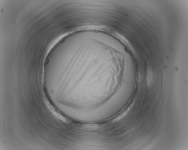 X0000083040844200702231928