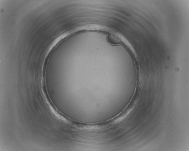 X0000083040845200702231928