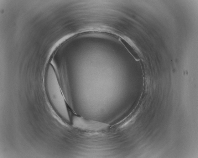 X0000083040846200702231928