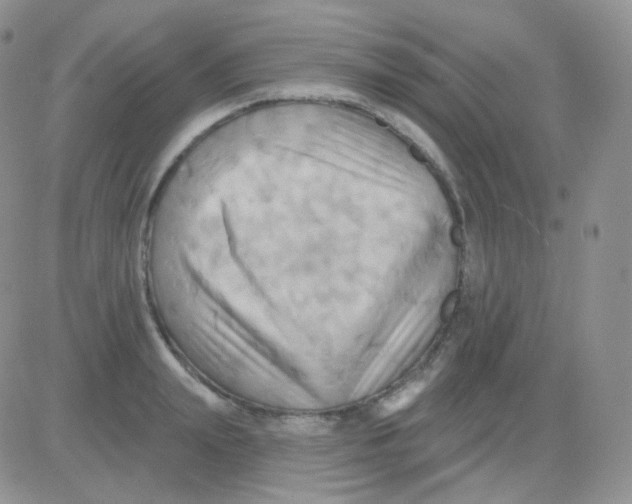 X0000083040847200702231928