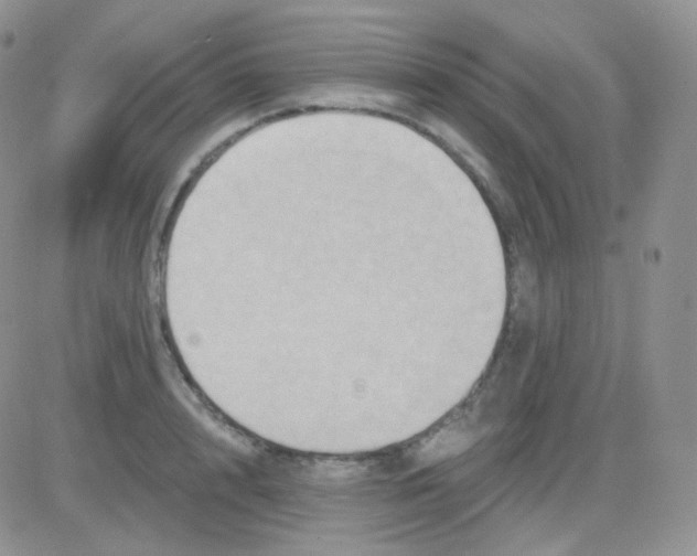 X0000083040848200702231928