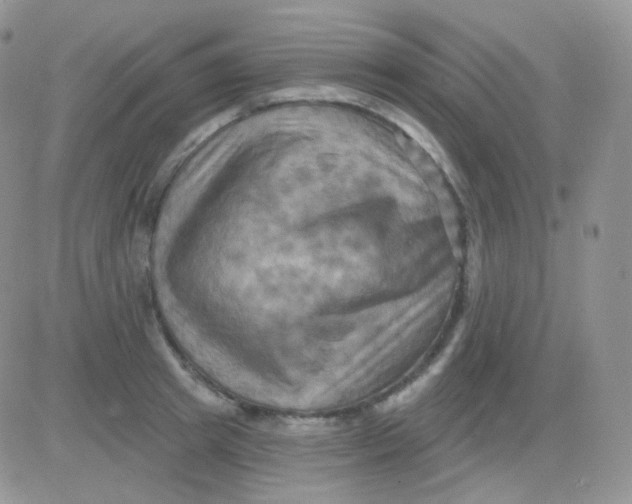 X0000083040849200702231928