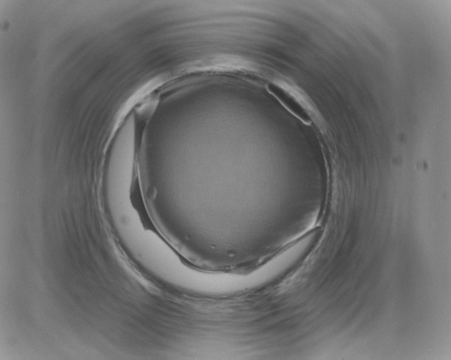 X0000083040850200702231928