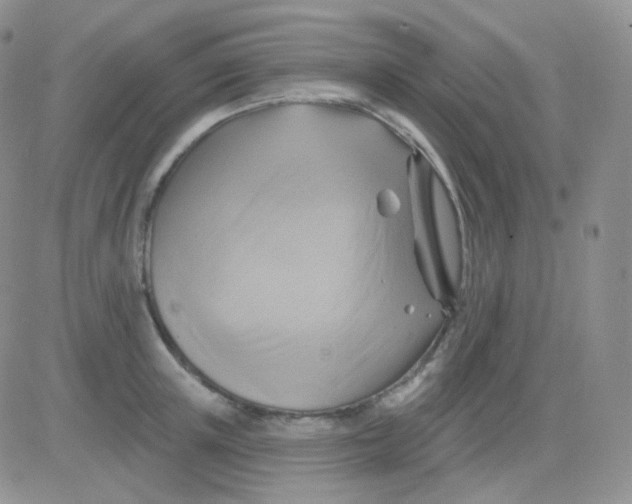 X0000083040851200702231928