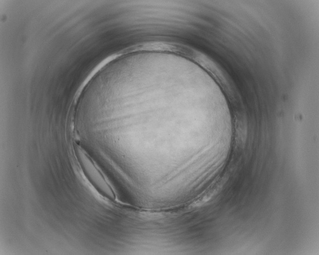 X0000083040852200702231928